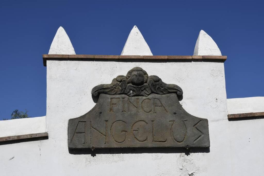 Finca Angelus Apartment Syrah With Amazing Views La Matanza De Acentejo Esterno foto