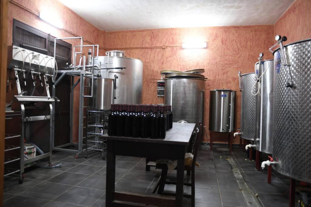 Finca Angelus Apartment Syrah With Amazing Views La Matanza De Acentejo Esterno foto