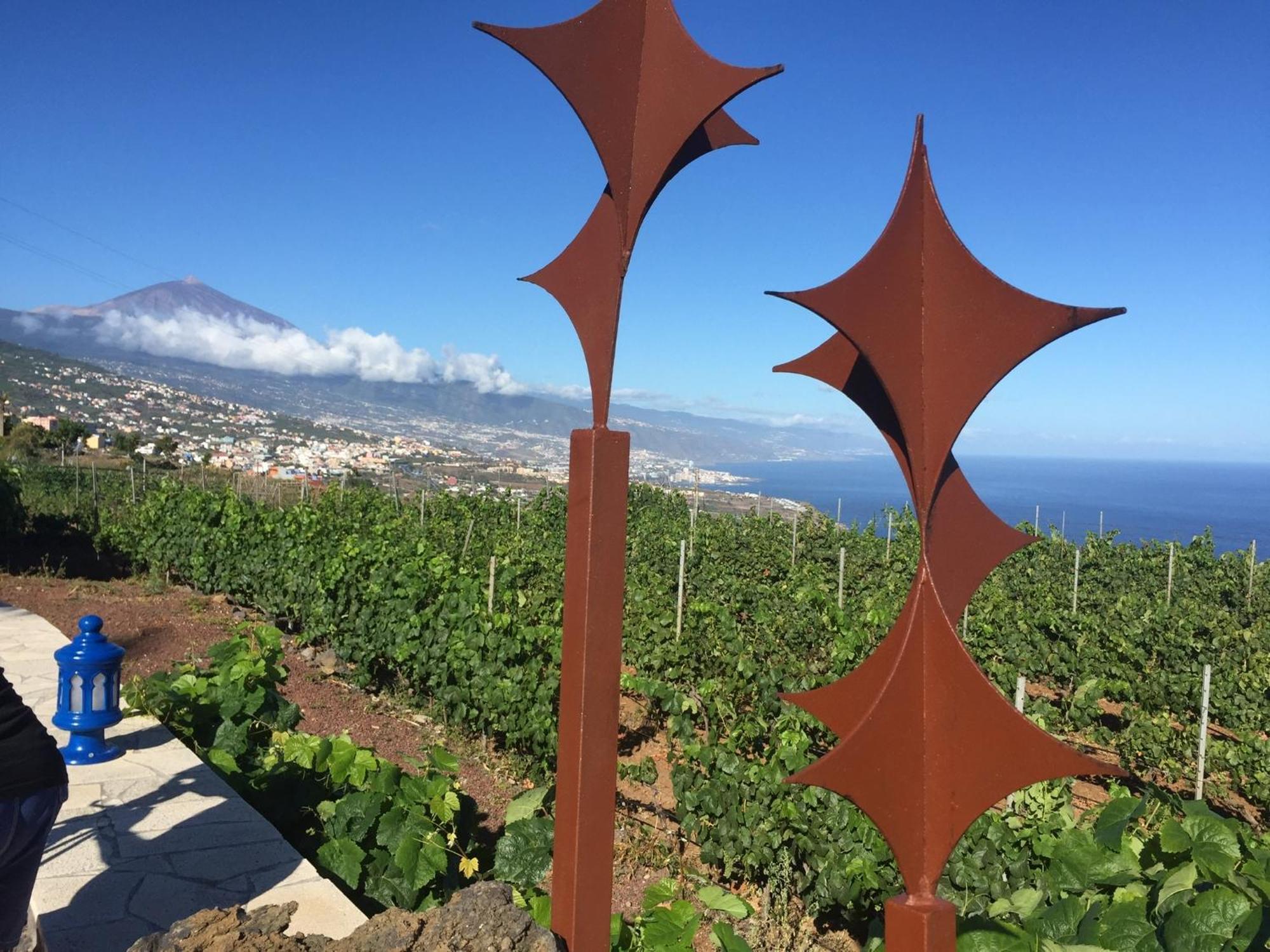 Finca Angelus Apartment Syrah With Amazing Views La Matanza De Acentejo Esterno foto